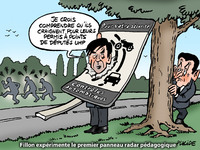 Le dessin du jour de Placide - Fillon, nouveau bouc émissaire des députés de l'UMP