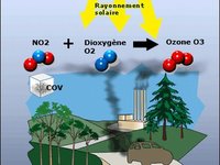 Pics de pollution à l'ozone : les recommandations du ministère de l'Ecologie