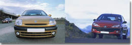 Les-deux-stars-se-disputent-le-marche-40871.jpg