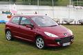 Peugeot 307 2.0 16v Féline : lionne de luxe 