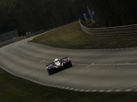 (Direct Le Mans) Sortie de piste de la Peugeot n°7!