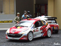1/43ème - PEUGEOT 207 S2000