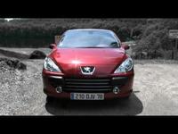 Peugeot 307 2.0 16v Féline : lionne de luxe