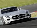 Deux Mercedes SLS AMG au depart des 24 Heures de Dubai. Et peut-être la Porsche 911 GT3 R Hybride? 