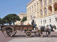 A Monaco, le cheval est roi ! 