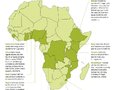 L'association Les Amis de la Terre dénonce l'accaparement des terres agricoles africaines au profit des agrocarburants