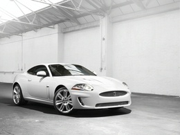 Mondial-de-Paris-2010-chez-Jaguar-le-concept-car-secret-serait-un-apercu-du-prochain-coupe-XK-60619.jpg