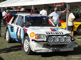 Photos du jour : Peugeot 205 Turbo 16 Rallye (Week-End de l'Excellence de Reims)