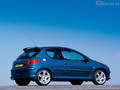La p'tite sportive du lundi: Peugeot 206 RC !