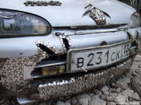 Saucisse du vendredi : Mitsubishi Colt Carlsson