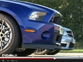 Vidéos Shelby