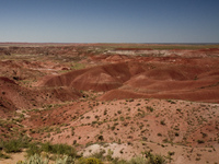 Caradisiac sur la Route 66 - En attendant la chevauchée fantastique...