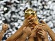 Matchs du Mondial, les résultats : la Citroën DS3 et la Mercedes CLS plébisicitées