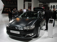Mondial de Paris 2010 : tendance : le mat c'est chic ! 