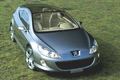 Elixir : la Peugeot 407 se dévoile