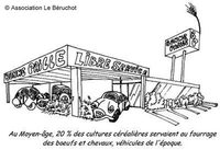 Demain, roulerez-vous en  biocarburant ? 