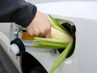 Etats-Unis : plus de maïs pour l'éthanol que pour l'alimentation 
