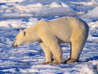 89% des Européens considèrent que le changement climatique est un problème « sérieux »