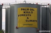 Greenpeace en Indonésie : blocage du chargement et du départ du tanker transportant de l'huile de palme 