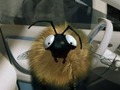 Luc Besson et Renault s'associent pour une campagne de pub électrique