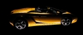 GALLARDO SPYDER, PROFIL