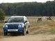 Photo jeep-compass-05-90405