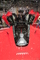 Photo ferrari-laferrari-nom-de-nom-287619-103467