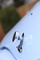Photo morgan-plus-8-paradoxe-temporel-290389-103756