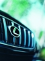 RX 300, DETAIL