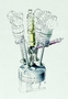 CLASSE C, DESSIN