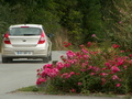 HYUNDAI-i30-18