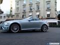 SLK 55 AMG, PROFIL
