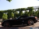 Photo Viper-SRT10-PROFIL-photo60241-69794