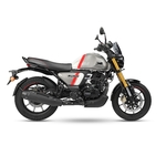 Voir toutes les images