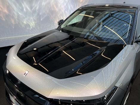 Le bicolorisme étendu comprenant le pavillon noir est une option.