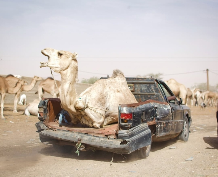 Personne n’était prêt à voir cette Renault 21 finir ainsi