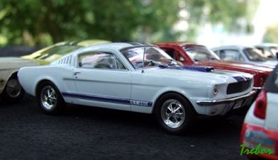 Miniature : 1/43ème - Shelby GT305