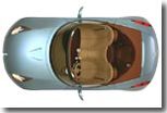 Renault Wind : Le Losange nous refait le coup du Spider