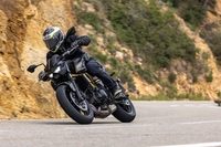 Voir toutes les images