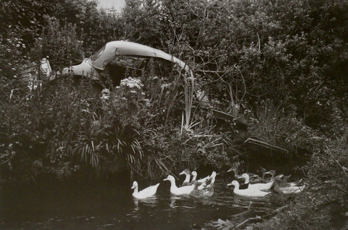Interrogation sur le phénomène des épaves.