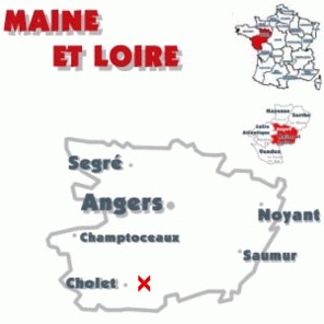 Maine-et-Loire : les Co-mobiles ou comment améliorer les déplacements des salariés