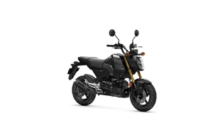 Trois nouvelles robes pour la petite Honda MSX125 Grom