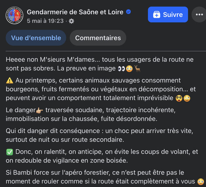 Ivres en bord de route, les cervidés forcent les gendarmes à communiquer sur les réseaux sociaux