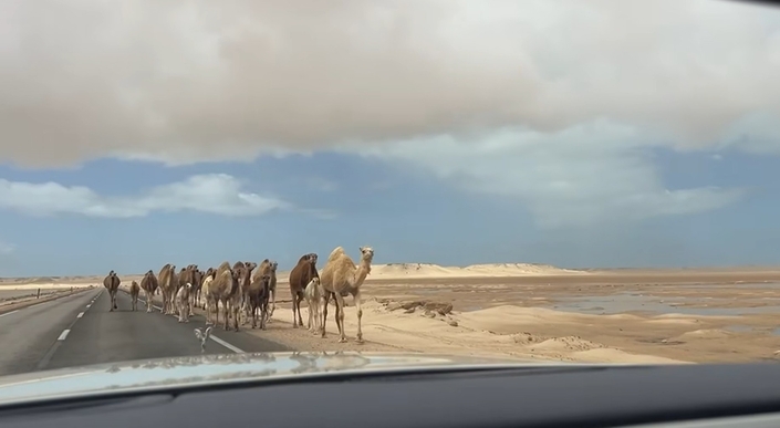 Il fait plus de 770 000 kilomètres avec sa Rolls-Royce Phantom