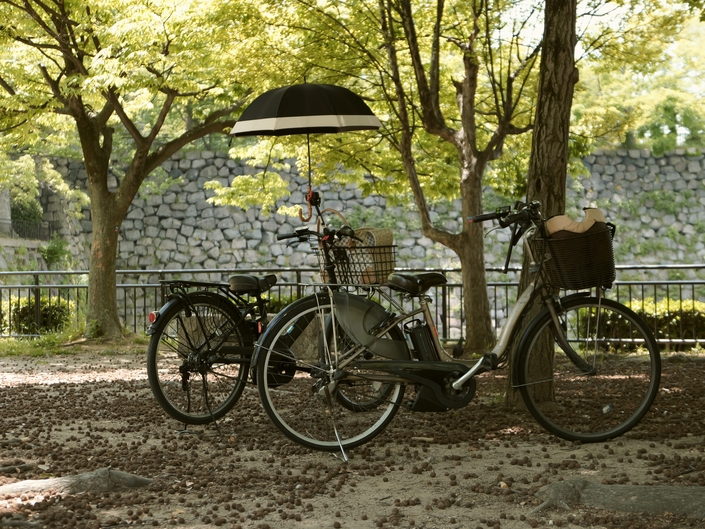 Même à l’autre bout du monde, la cohabitation entre piétons et vélos est compliquée