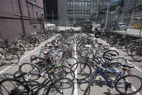 Même à l’autre bout du monde, la cohabitation entre piétons et vélos est compliquée