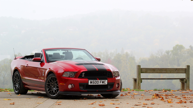  	Essai vidéo - Shelby GT500 : animal venimeux