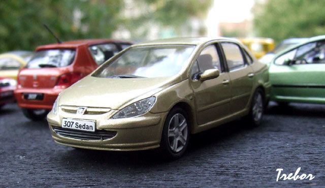 peugeot 307 miniature