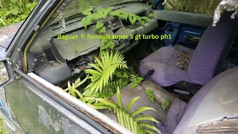 Que vont devenir ces trois Supercinq GT Turbo dévorées par la rouille et la végétation ?