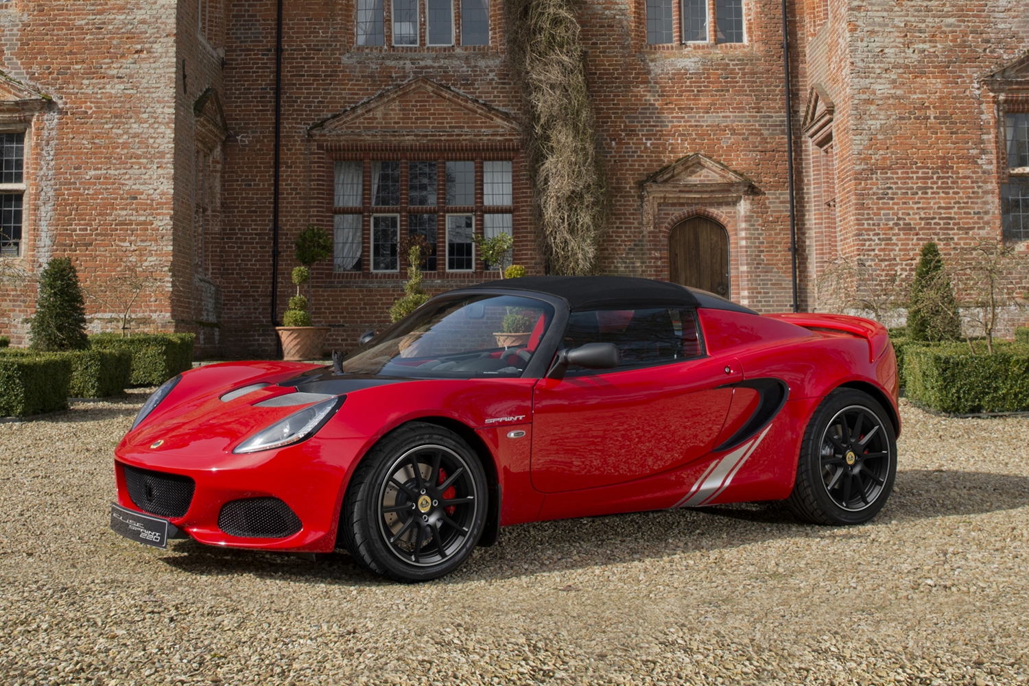 L стенд lotus